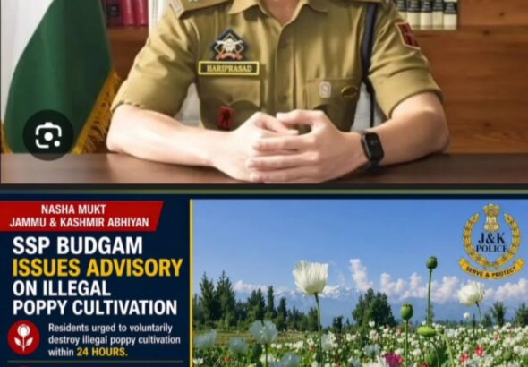 Nasha Mukt Jammu & Kashmir Abhiyan: SSP Budgam Issues Advisory on destruction of Poppy Plants